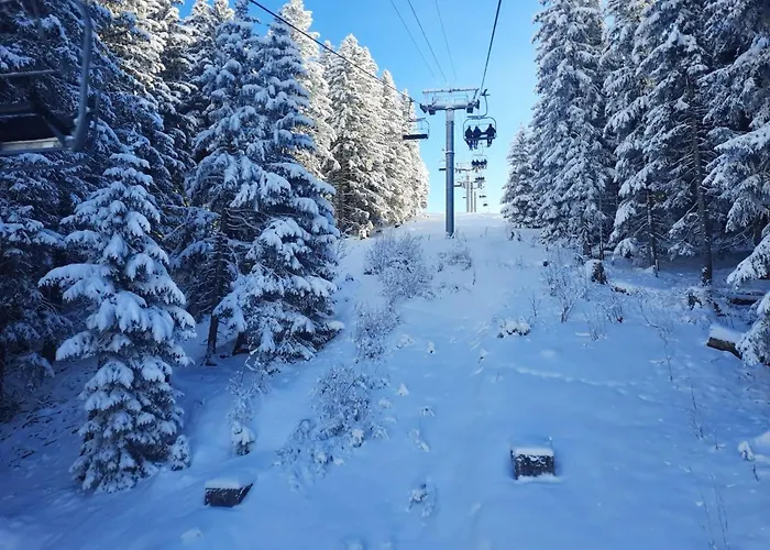 Appartement Cime L\'Est