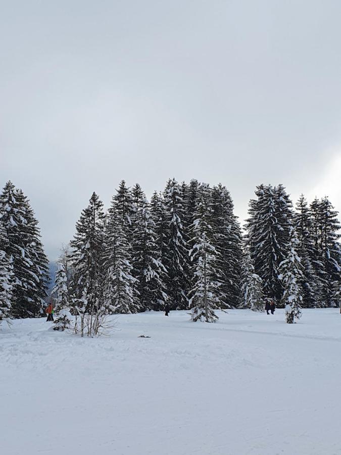 Apartamento Cime L'est Saint-Maurice